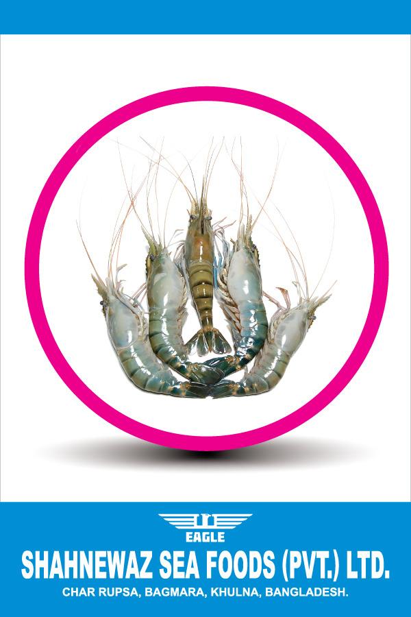EXPORTER AND PROCESSOR OF PREMIUM QUIALITY FROZEN SEAFOODS