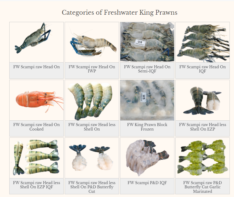 Fresh Water King Prawn