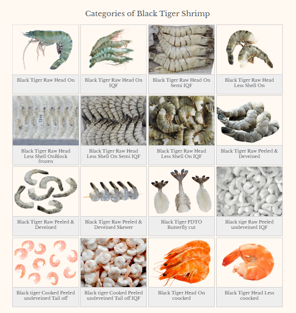 BLACK TIGER SHRIMP